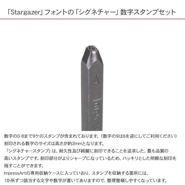 �͡��ॿ�� ��� ̾���� ����ץ쥹������ �����ͥ��㡼 �쥿��������ס�Stargazer ���� U0007/2/1