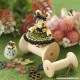 ��ӥåȡ�Olivia��ǻ������ѥե���  �ں�ȡ�Miniera d��oro��