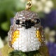 ��7/7 �����١� Happy��Bird���ȥ�åסʥ��ӥ��� ���λҡ�  S-80 �ں�ȡ�Shinon*  ���襤���Τ֡�