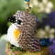 ��7/7 �����١� Happy��Bird���ȥ�åסʥ��ӥ��� ���λҡ�  S-80 �ں�ȡ�Shinon*  ���襤���Τ֡�