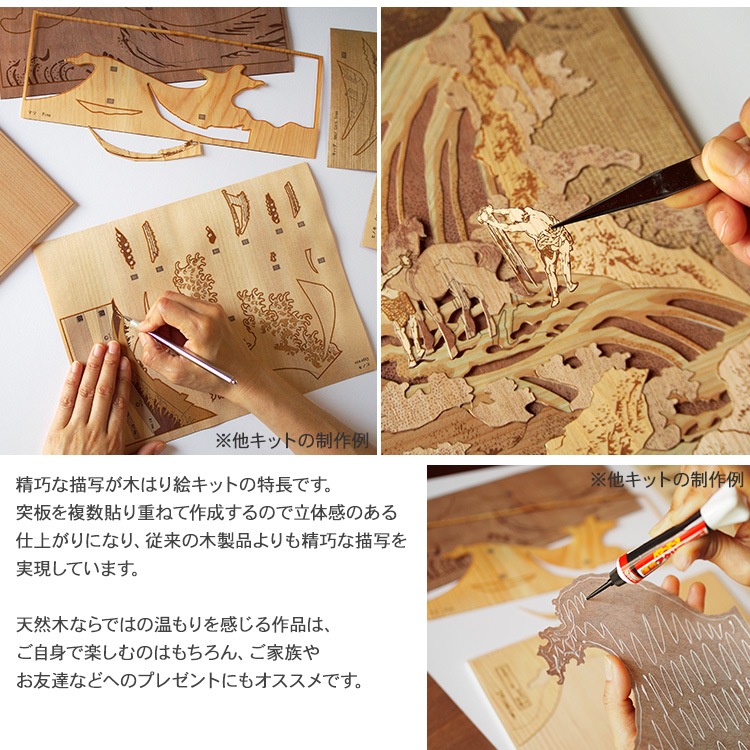 ڤϤ골ꥭåȡ½  KJH-003