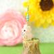 Happy��Animal���㡼��ʤ֤���  S-62 �ں�ȡ�Shinon*  ���襤���Τ֡�