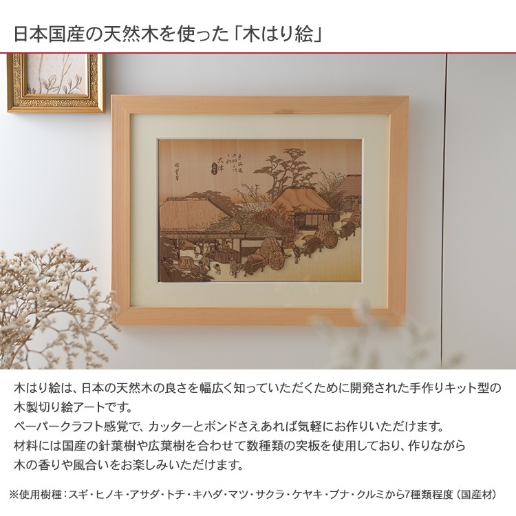 �ڤϤ골���ꥭ�åȡ����� �����㲰��  KJH-005