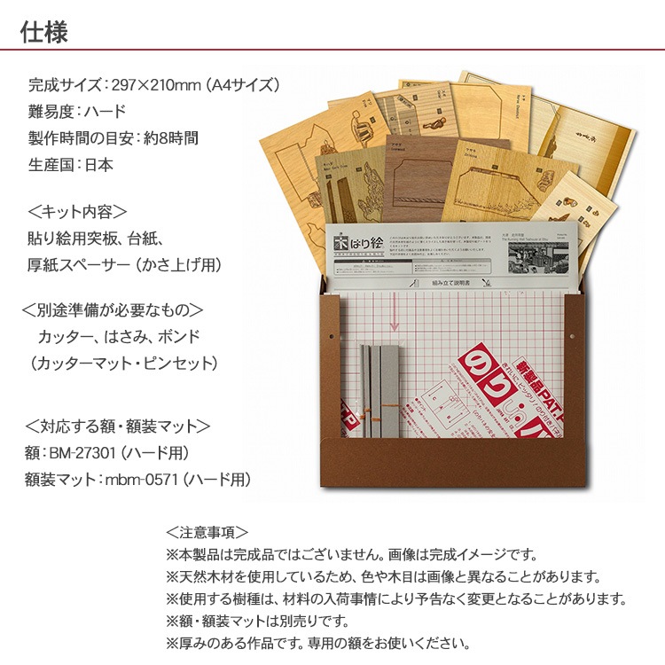 �ڤϤ골���ꥭ�åȡ����� �����㲰��  KJH-005