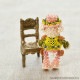 �ѡ��ƥ����ƥǥ��٥����åȡ�Lucia��Asher��  �ں�ȡ�Miniera d��oro��