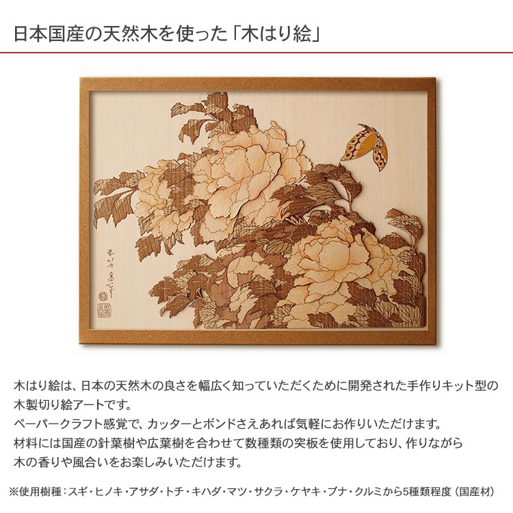 �ڤϤ골���ꥭ�åȡֲ�ð��ĳ��  KJH-007