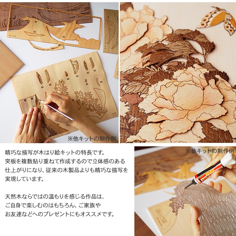 �ڤϤ골���ꥭ�åȡֲ�ð��ĳ��  KJH-007