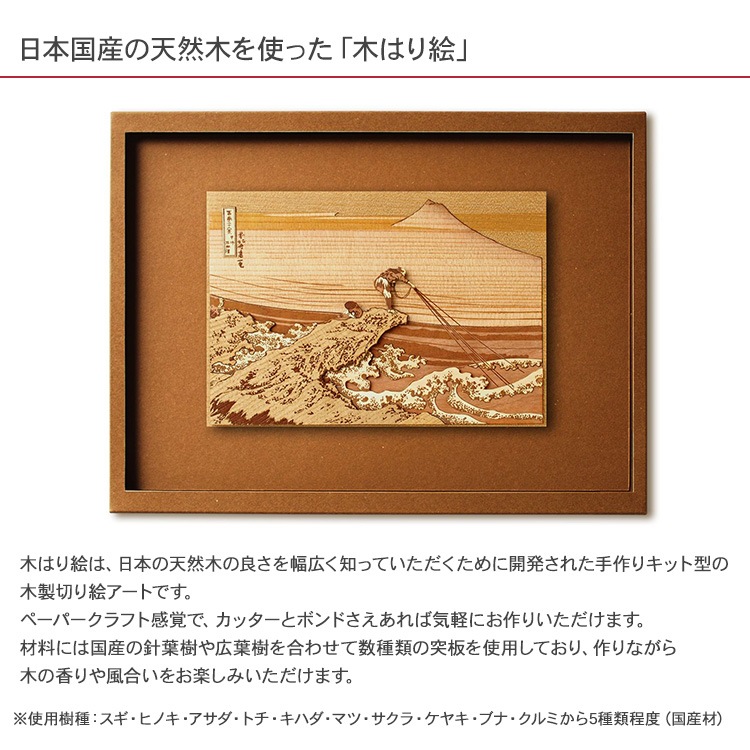 �ڤϤ골���ꥭ�åȡֹý���������  KJM-003