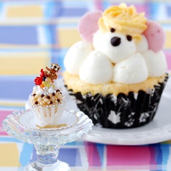 ץƥߡƥǥåץ  ڥӡޥ˥