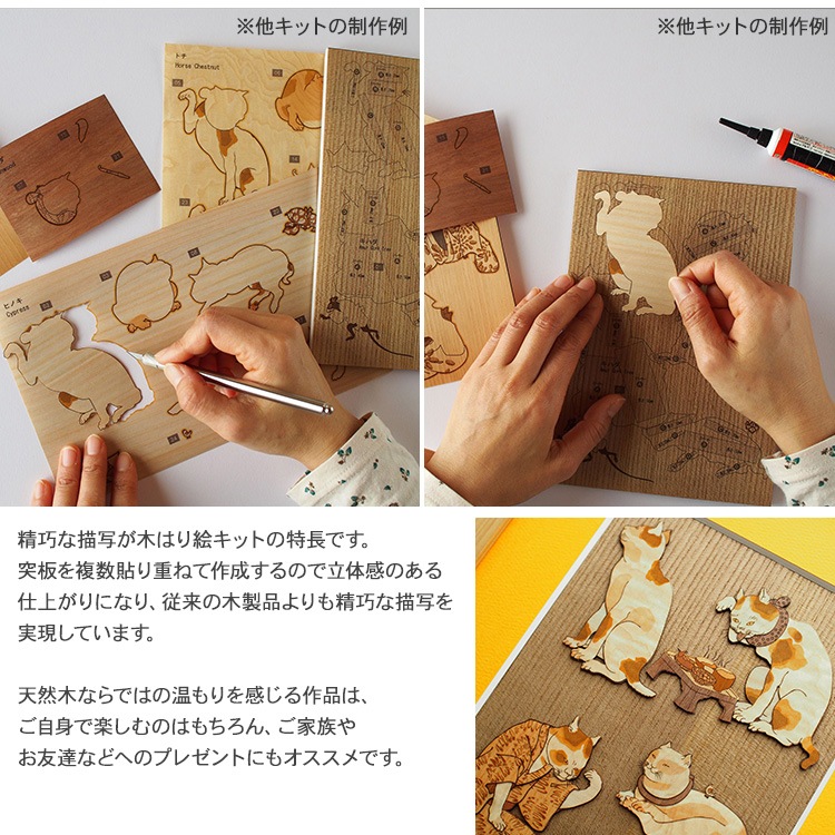 ڤϤ골ꥭåȡ֤ȤԤ 2  KJM-005