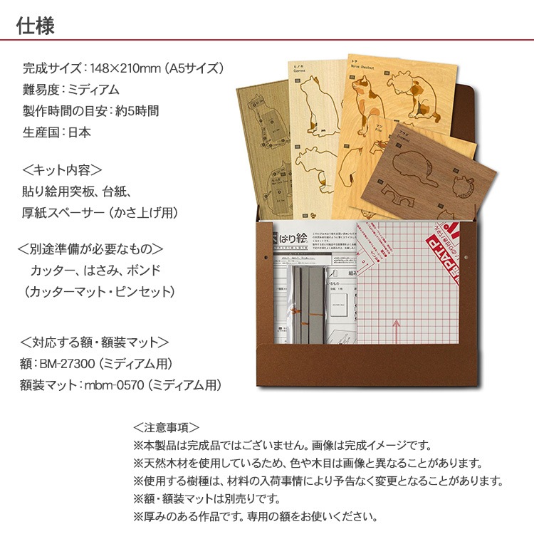 ڤϤ골ꥭåȡ֤ȤԤ 2  KJM-005