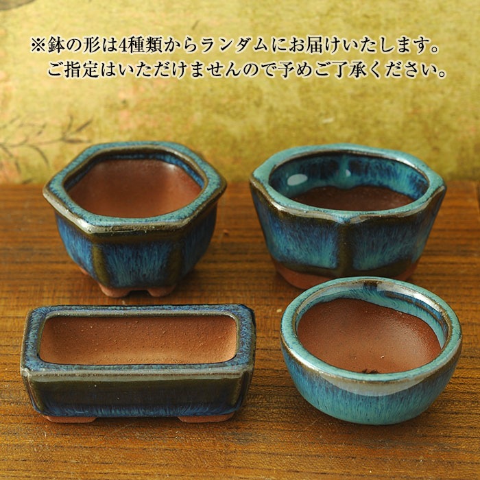 ߺ  _PP02 ںȡФΤ֤