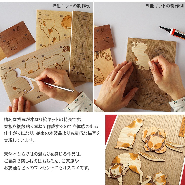 ڤϤ골ꥭåȡ֤ȤԤ 3  KJM-006