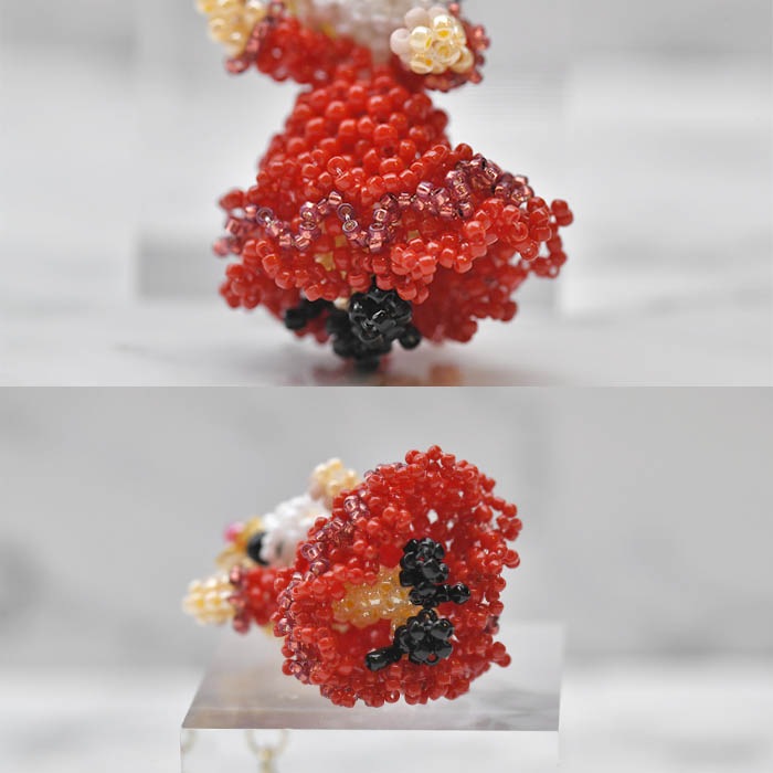 10/30 NEW ǮΥե˥  ںȡarco iris  