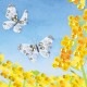 �ӡ����ե����ȥ꡼ ��Beads Decor�����̡��3��� ���ۤ������ BHD-151