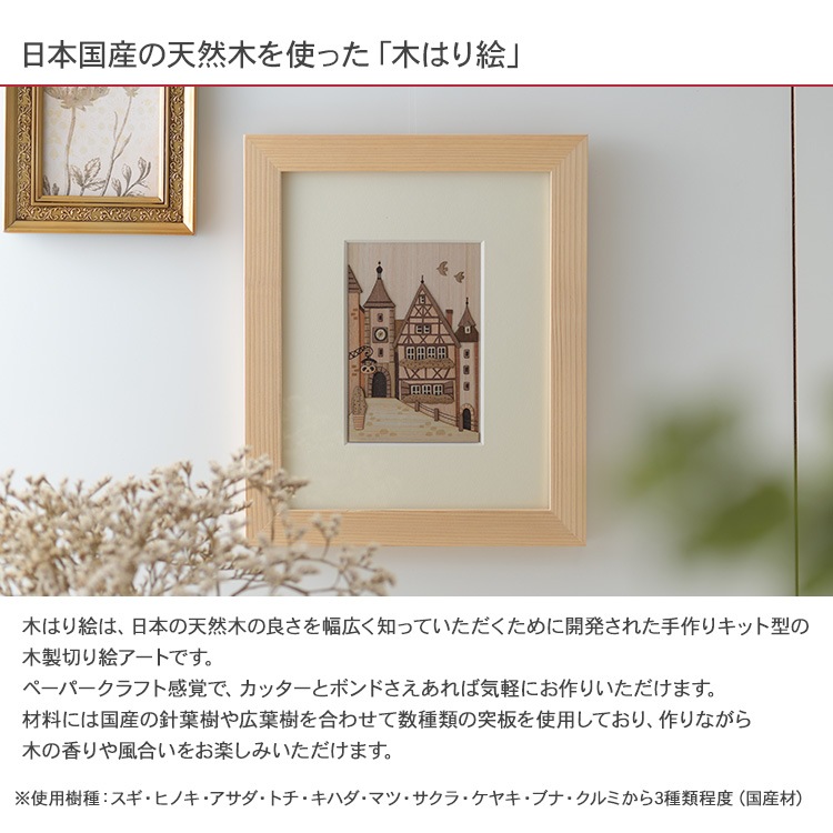 �ڤϤ골���ꥭ�åȡ֥��ޥ���å���ƻ��  KTB-004