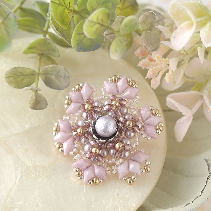 �ӡ����ե����ȥ꡼ ��������ɥǥ奪�ӡ����Υ֥�����  BFK-569