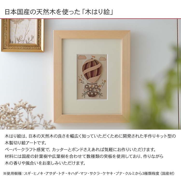 �ڤϤ골���ꥭ�åȡ֥ե��Х롼���  KQB-005