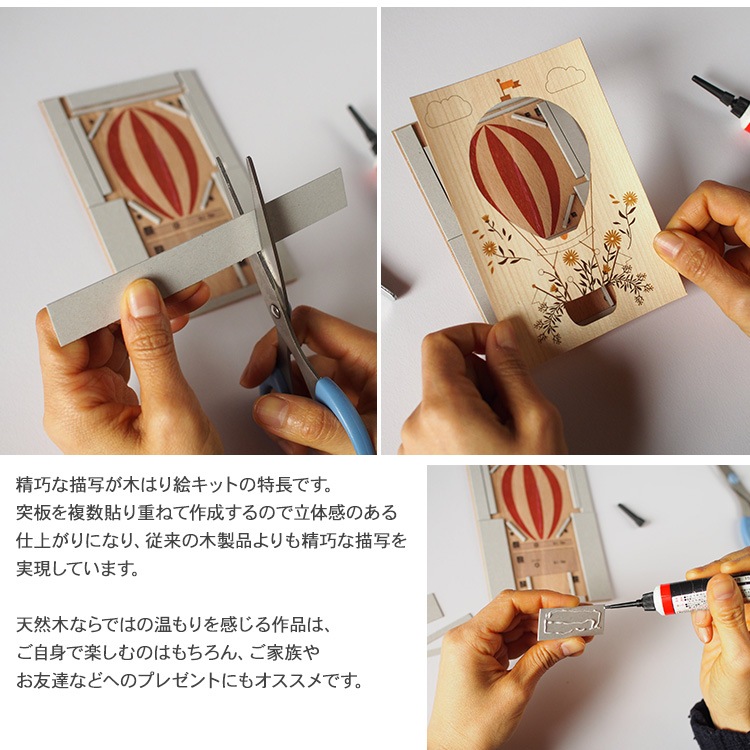 �ڤϤ골���ꥭ�åȡ֥ե��Х롼���  KQB-005