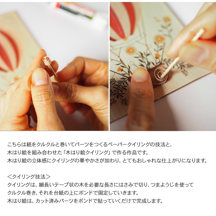 �ڤϤ골���ꥭ�åȡ֥ե��Х롼���  KQB-005
