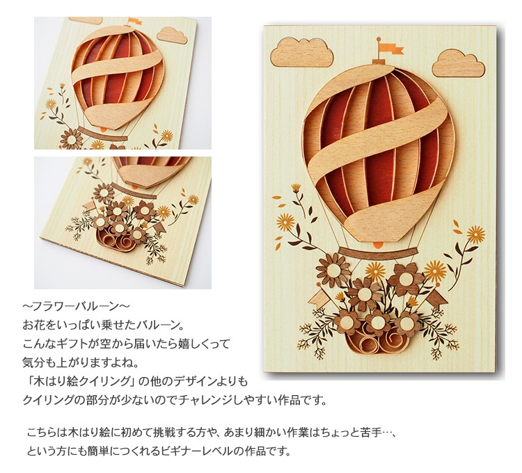 �ڤϤ골���ꥭ�åȡ֥ե��Х롼���  KQB-005