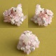 3/28 ١ Candyե  ںȡLovelyդ