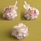 3/28 ١ Candyե  ںȡLovelyդ