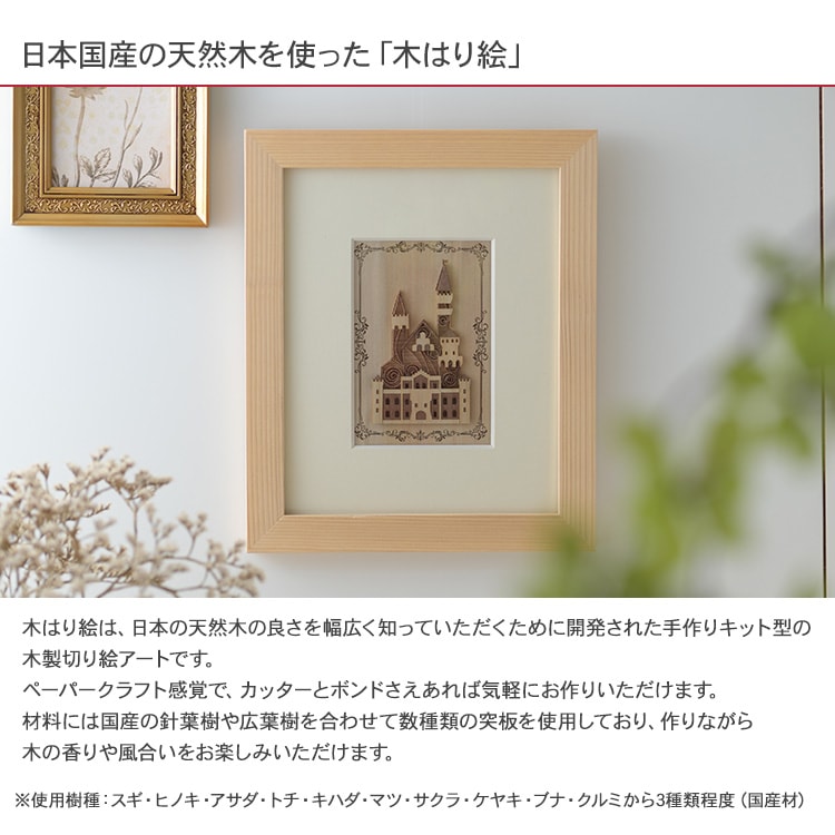 �ڤϤ골���ꥭ�åȡ֥�ȥ�Х�������  KQB-007