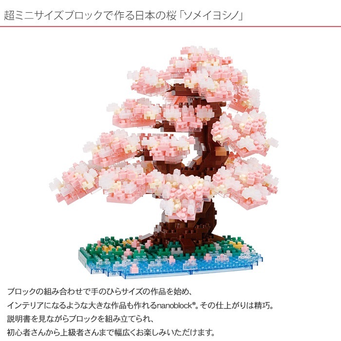 ʥΥ֥å ᥤ襷  NBM-048