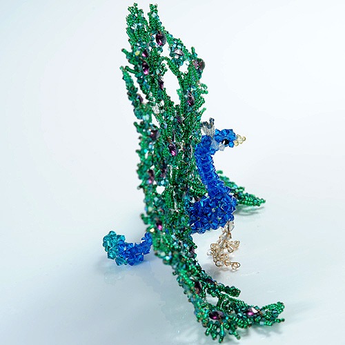 ����  �ں�ȡ����ФΤ֤��