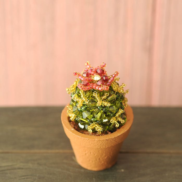 ܥƥ󥭥åȡA _PP02 ںȡФΤ֤