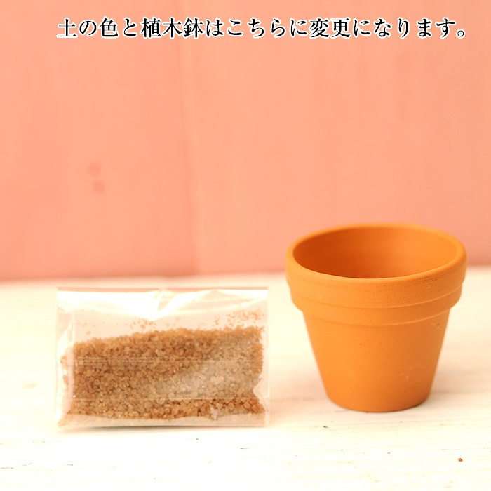 ܥƥ󥭥åȡA _PP02 ںȡФΤ֤