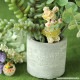��ӥåȡ�Sienna�ȥե�å���ե롼�ĥ��꡼�� �ں�ȡ�Miniera d��oro��
