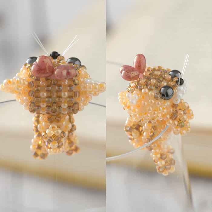 �դ��ä��ͤ�����Ȥ��  �ں�ȡ�arco iris ��� ������