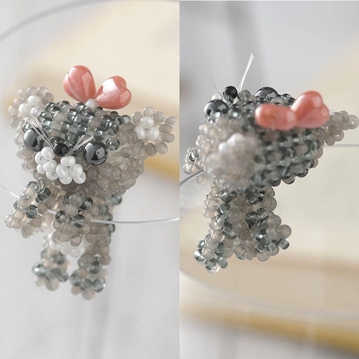 դäͤʥ᥷  ںȡarco iris  