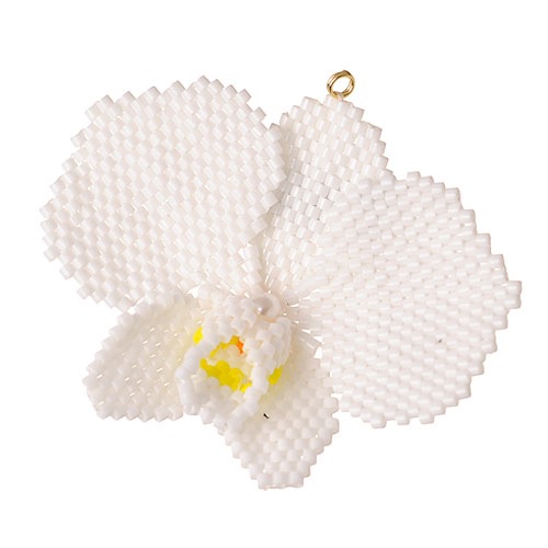 �ӡ����ե����ȥ꡼ �ե�������ե��åȡʸ�ĳ���� BFK-372