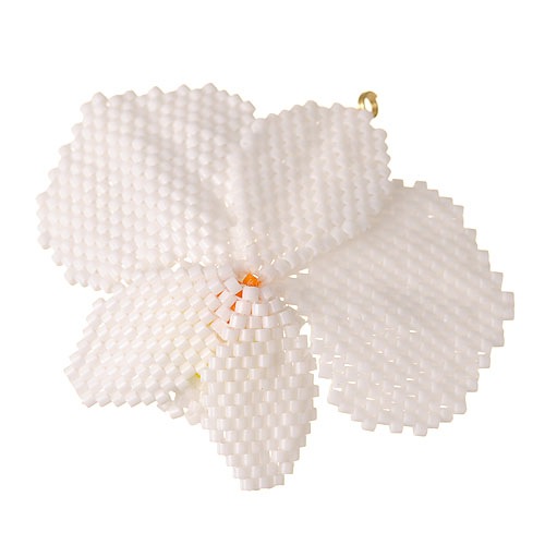 �ӡ����ե����ȥ꡼ �ե�������ե��åȡʸ�ĳ���� BFK-372