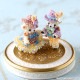 �ѡ��ƥ����ƥǥ��٥����åȡ�Eliza��Riley��  �ں�ȡ�Miniera d��oro��
