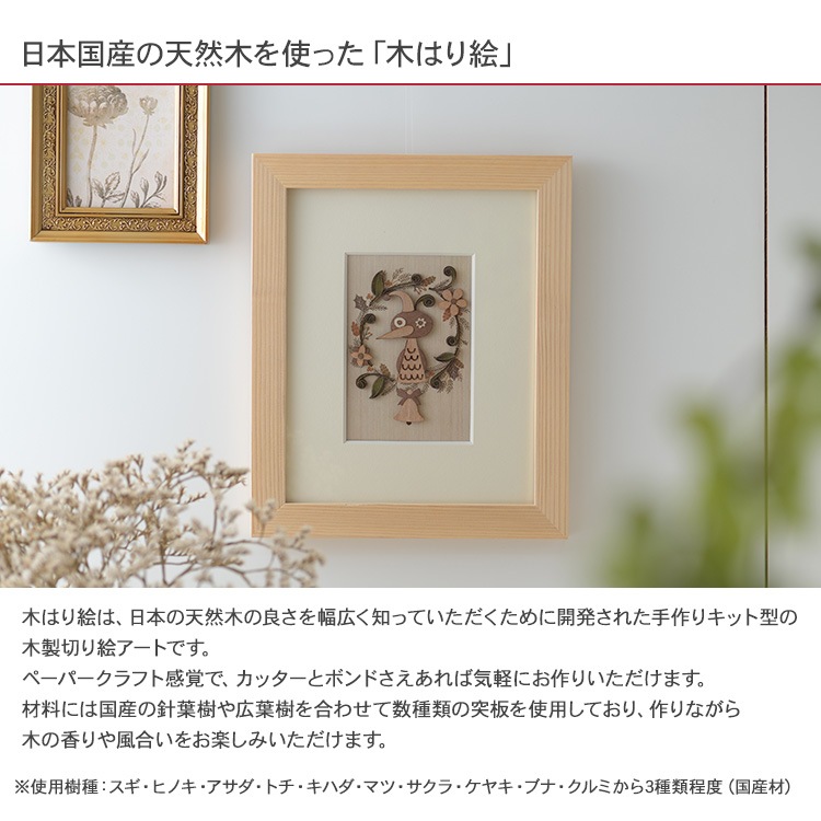 �ڤϤ골���ꥭ�åȡ֥����륫��С��ɡ�  KQB-006
