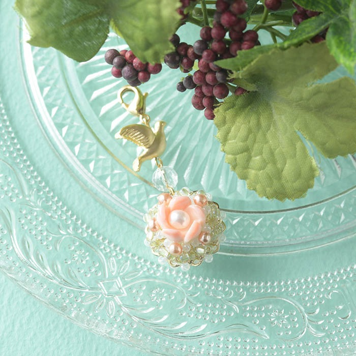 �������󥳥󥯥�����Τ��֤Ⱦ�Ļ�Υ��㡼��  �ں�ȡ���������ҡ�angelica�ˡ�