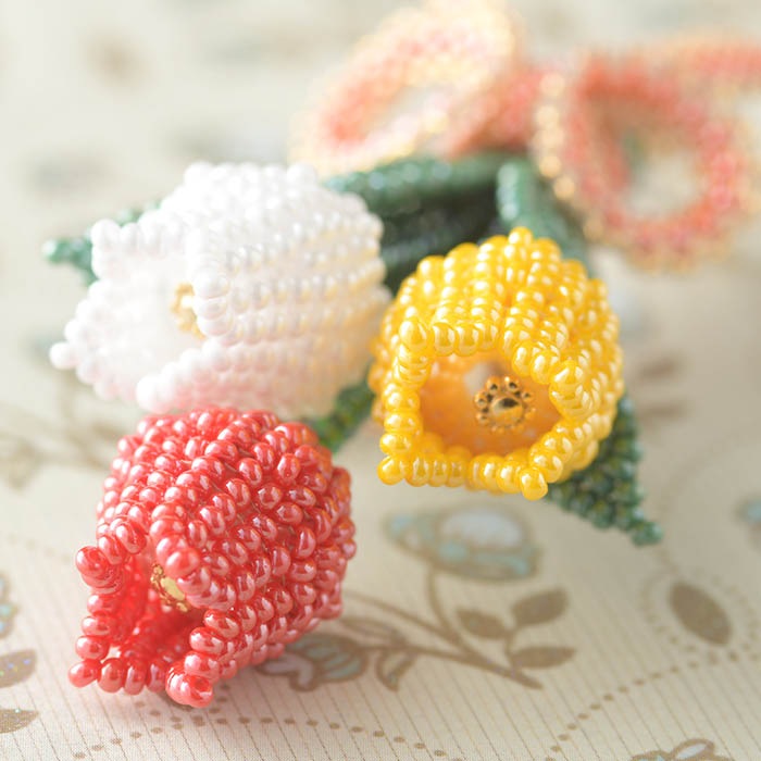 for you�ġ�Tulip��POP ver. �ں�ȡ����ΤϤ�ߤ��Little��B��.�ˡ�