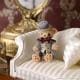 �ѡ��ƥ����ƥǥ��٥���Joshua��  �ں�ȡ�Miniera d��oro��