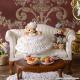 �ѡ��ƥ����ƥǥ��٥���Joshua��  �ں�ȡ�Miniera d��oro��
