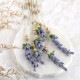 ƣ�β֤Υ�ꥨ�å�  �ں�ȡ�����������atelier embellir�ˡ�