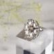 ��6/1 NEW�� ø��ѡ��륷��С��ե���� �ں�ȡ���¼ƻ�ҡʥץ������󥹡ˡ�