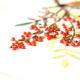 �ӡ����ե����ȥ꡼ ��Beads Decor����ŷ���ĥ��ߡ�12��� ���ۤ������ BHD-128W