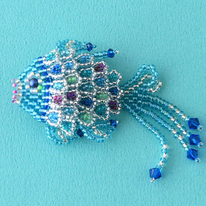 �֥롼�ե��å���  �ں�ȡ���ƣ�ݻҡ�