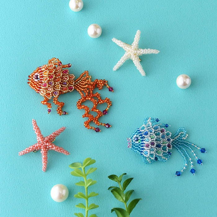 �֥롼�ե��å���  �ں�ȡ���ƣ�ݻҡ�