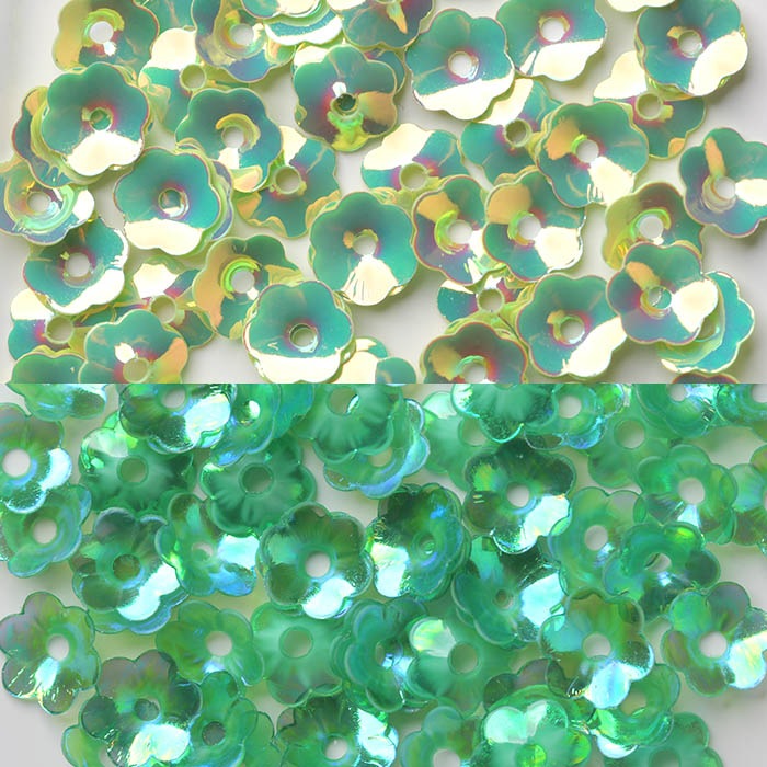 ��ƥ����� �ե����ѥ󥳡��� 5�糧�å� ���꡼��� Latief