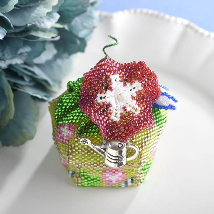 ڥ衼ƥƥåԤBOX ںȡӡѥե ܷûҡ